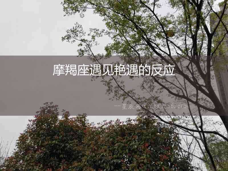 摩羯座遇見艷遇的反應(yīng)