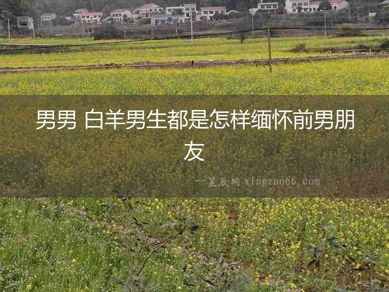 男男 白羊男生都是怎樣緬懷前男朋友