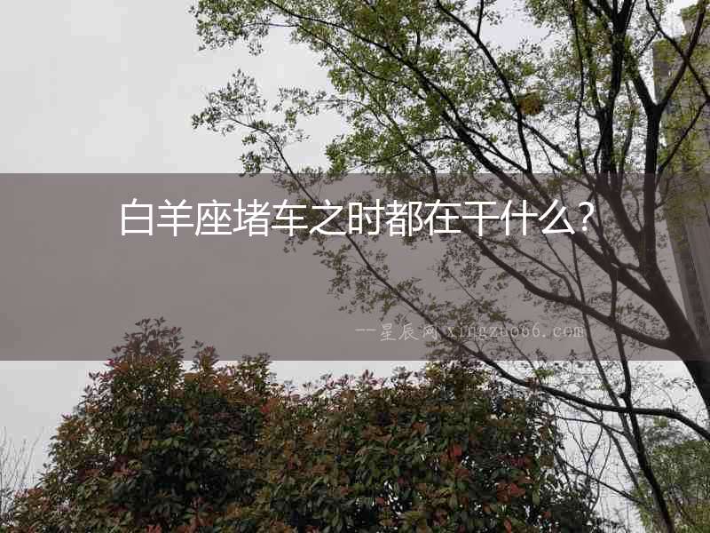 白羊座堵車之時(shí)都在干什么？