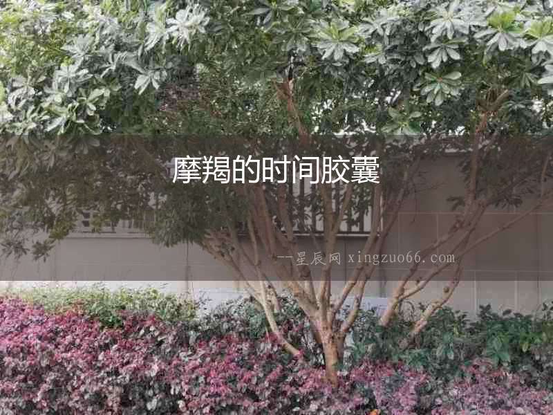 摩羯的時(shí)間膠囊