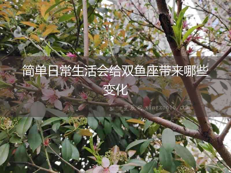 簡單日常生活會給雙魚座帶來哪些變化