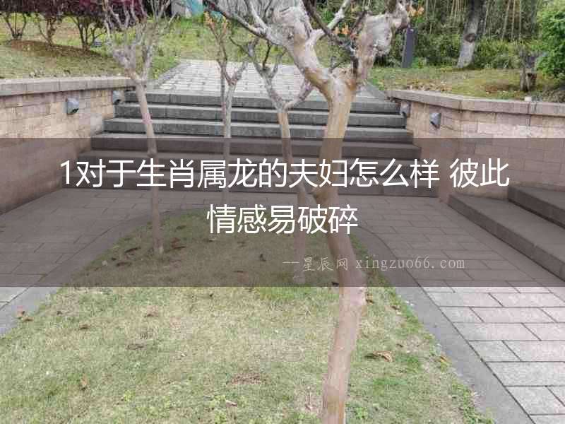 1對于生肖屬龍的夫婦怎么樣 彼此情感易破碎