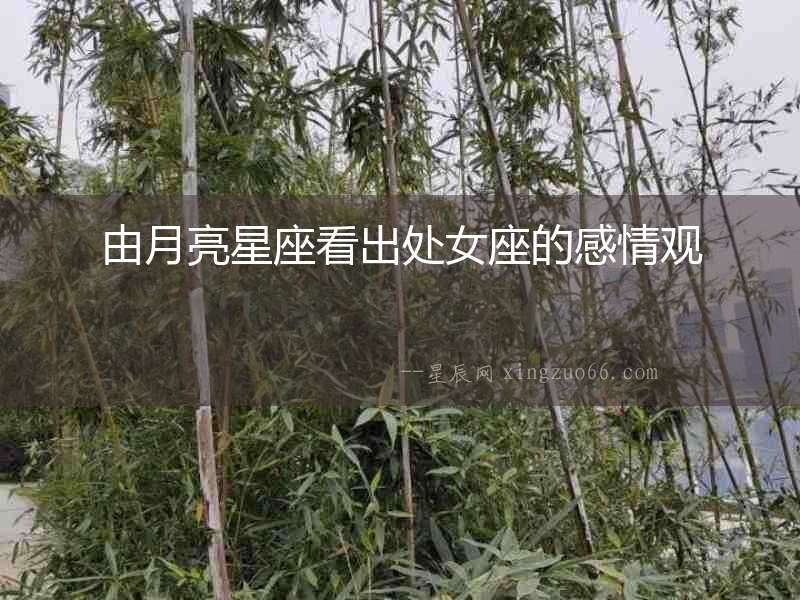 由月亮星座看出處女座的感情觀