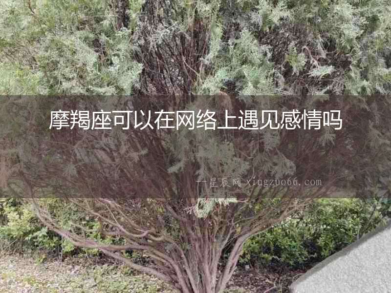 摩羯座可以在網(wǎng)絡(luò)上遇見感情嗎