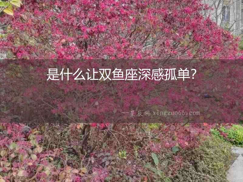 是什么讓雙魚座深感孤單？