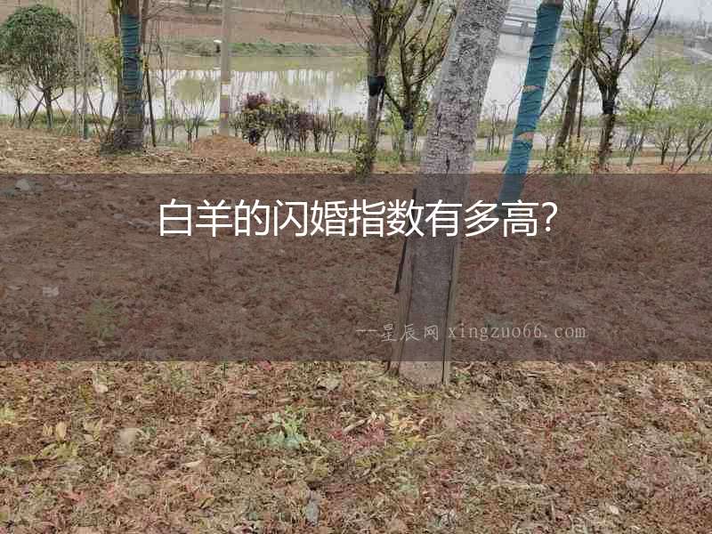 白羊的閃婚指數有多高？