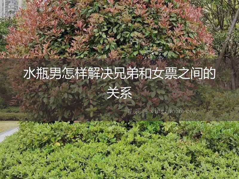水瓶男怎樣解決兄弟和女票之間的關系