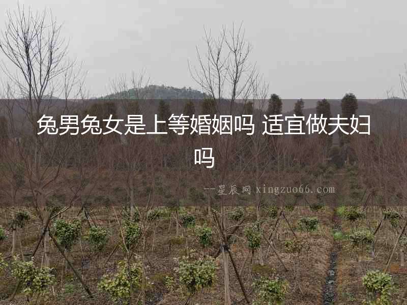 兔男兔女是上等婚姻嗎 適宜做夫婦嗎