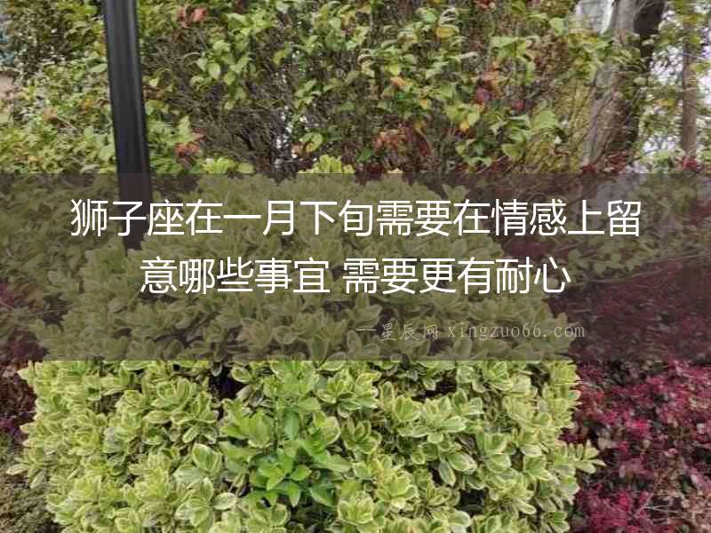 獅子座在一月下旬需要在情感上留意哪些事宜 需要更有耐心