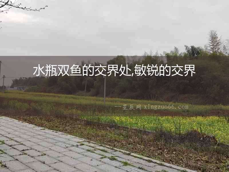 水瓶雙魚(yú)的交界處,敏銳的交界