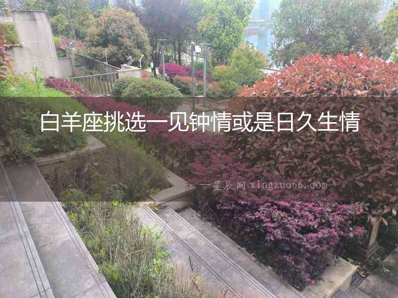 白羊座挑選一見(jiàn)鐘情或是日久生情