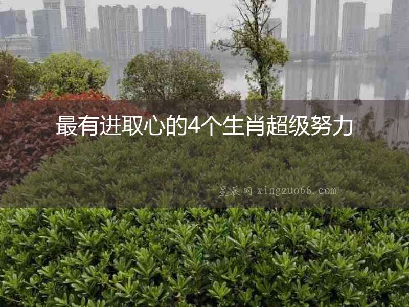 最有進取心的4個生肖超級努力