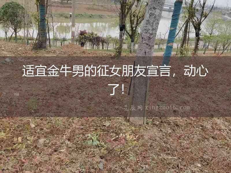 適宜金牛男的征女朋友宣言，動心了！