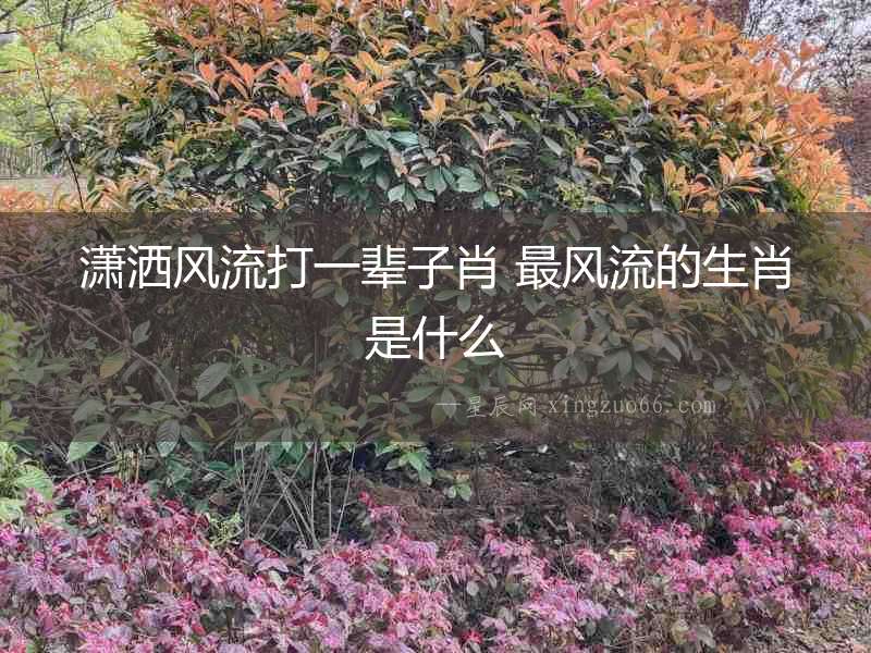 瀟灑風(fēng)流打一輩子肖 最風(fēng)流的生肖是什么