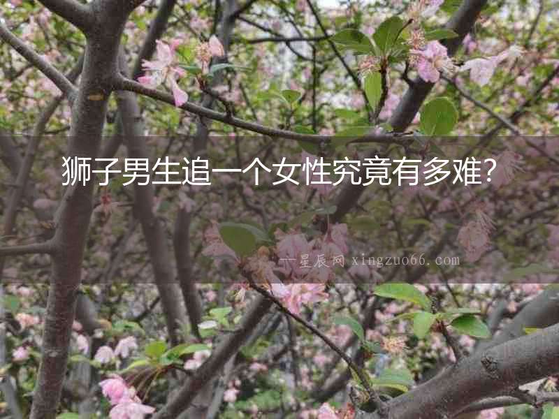 獅子男生追一個女性究竟有多難？
