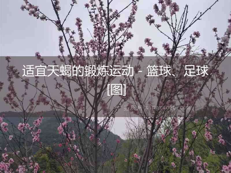 適宜天蝎的鍛煉運動－籃球、足球[圖]