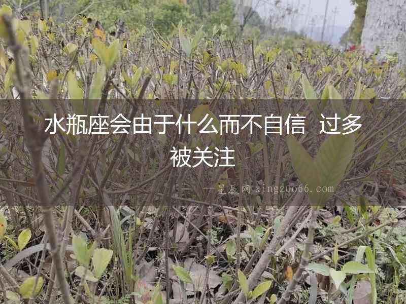 水瓶座會由于什么而不自信  過多被關注