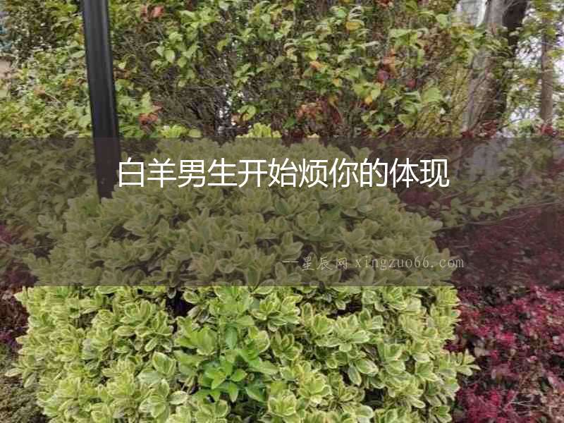 白羊男生開始煩你的體現(xiàn)