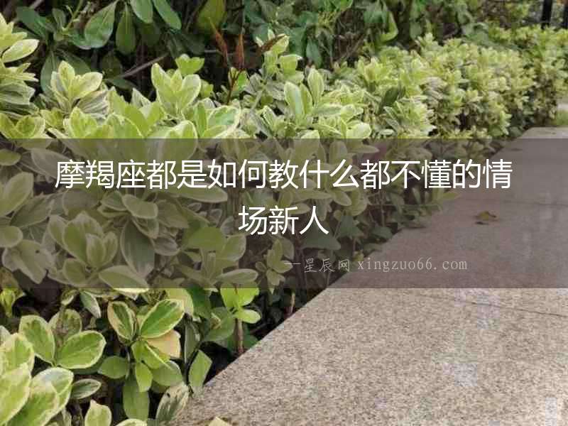 摩羯座都是如何教什么都不懂的情場新人