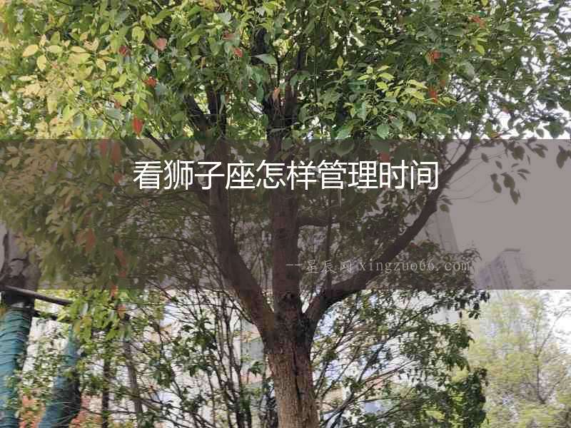 看獅子座怎樣管理時(shí)間