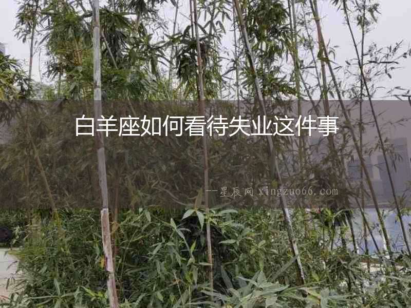 白羊座如何看待失業這件事