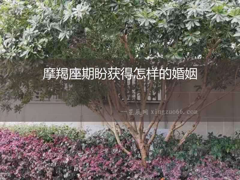 摩羯座期盼獲得怎樣的婚姻