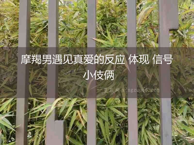 摩羯男遇見真愛的反應(yīng) 體現(xiàn) 信號 小伎倆