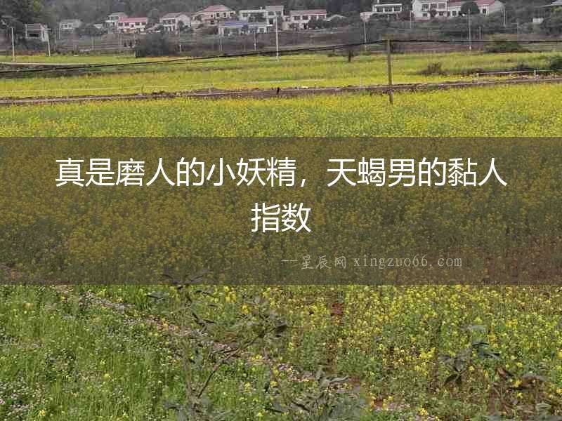 真是磨人的小妖精，天蝎男的黏人指數(shù)