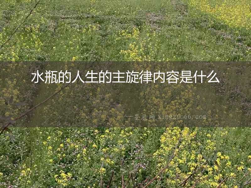 水瓶的人生的主旋律內容是什么