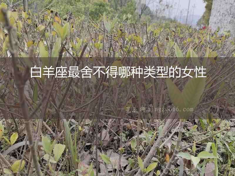 白羊座最舍不得哪種類型的女性