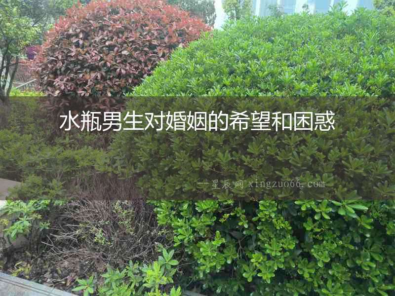 水瓶男生對婚姻的希望和困惑