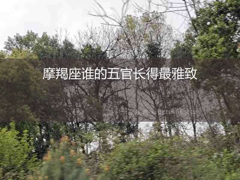 摩羯座誰的五官長得最雅致