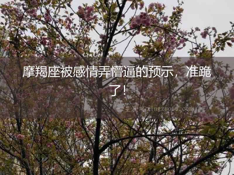 摩羯座被感情弄懵逼的預示，準跪了！