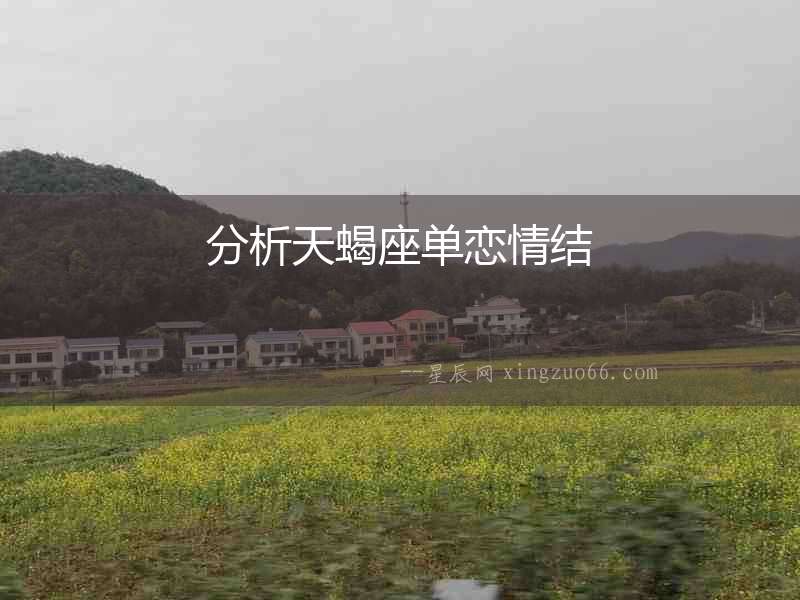 分析天蝎座單戀情結