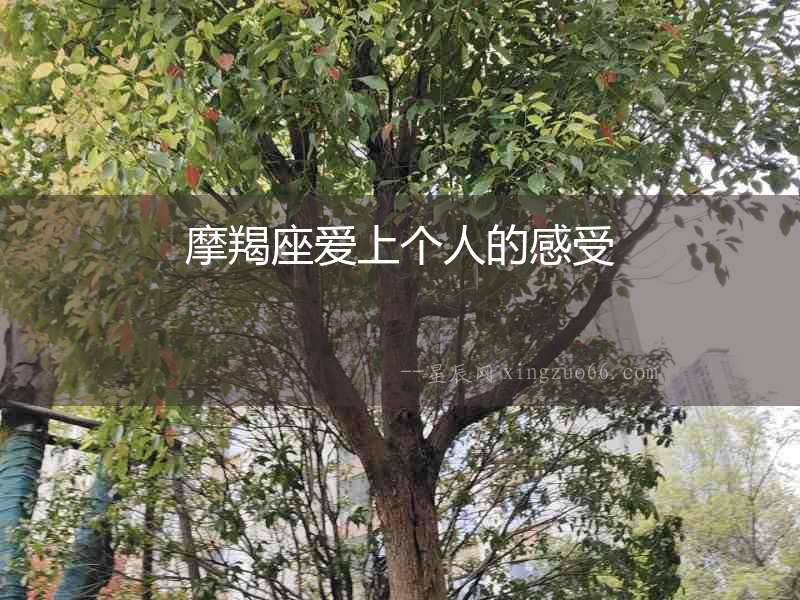 摩羯座愛上個(gè)人的感受