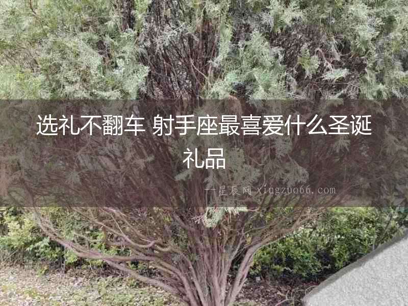選禮不翻車 射手座最喜愛什么圣誕禮品