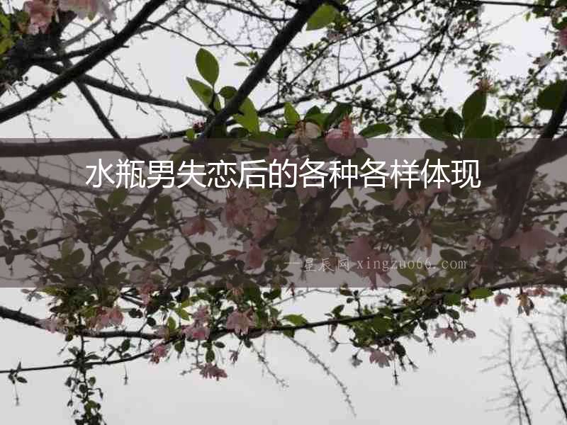 水瓶男失戀后的各種各樣體現(xiàn)
