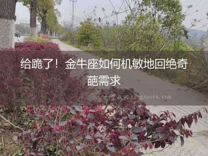 給跪了！金牛座如何機敏地回絕奇葩需求