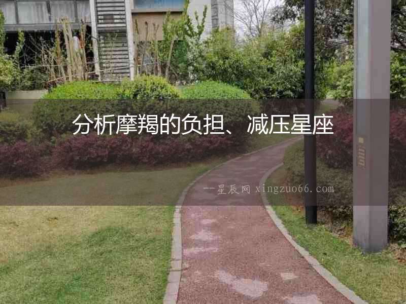 分析摩羯的負擔、減壓星座
