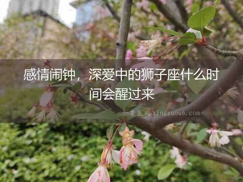 感情鬧鐘，深愛中的獅子座什么時間會醒過來