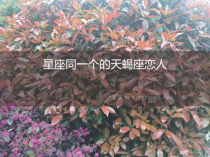 星座同一個的天蝎座戀人