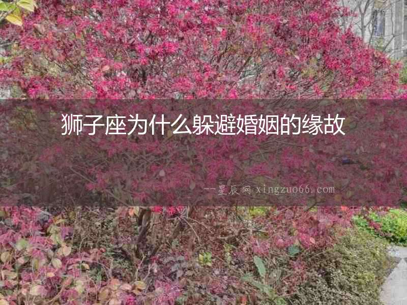 獅子座為什么躲避婚姻的緣故