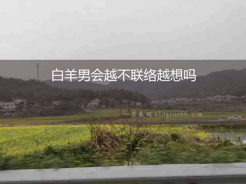 白羊男會越不聯絡越想嗎