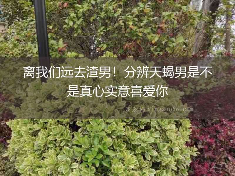 離我們遠(yuǎn)去渣男！分辨天蝎男是不是真心實(shí)意喜愛你