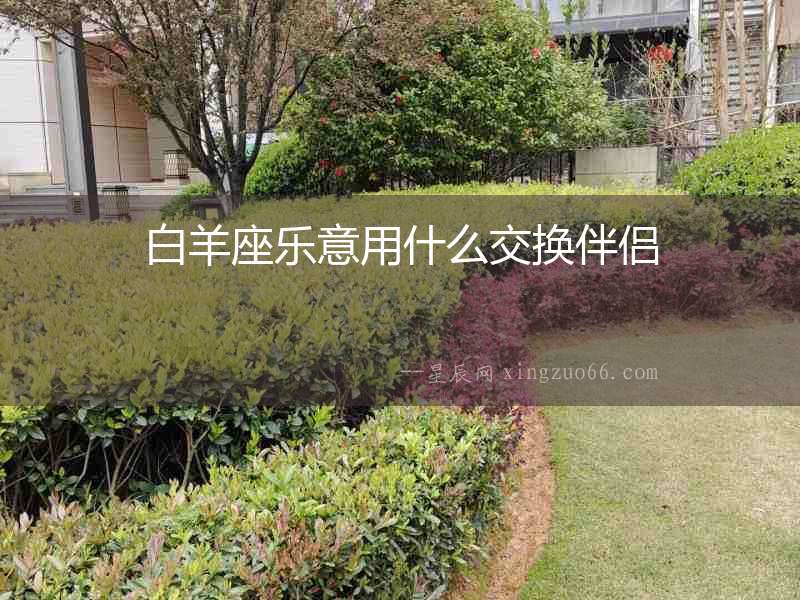白羊座樂意用什么交換伴侶