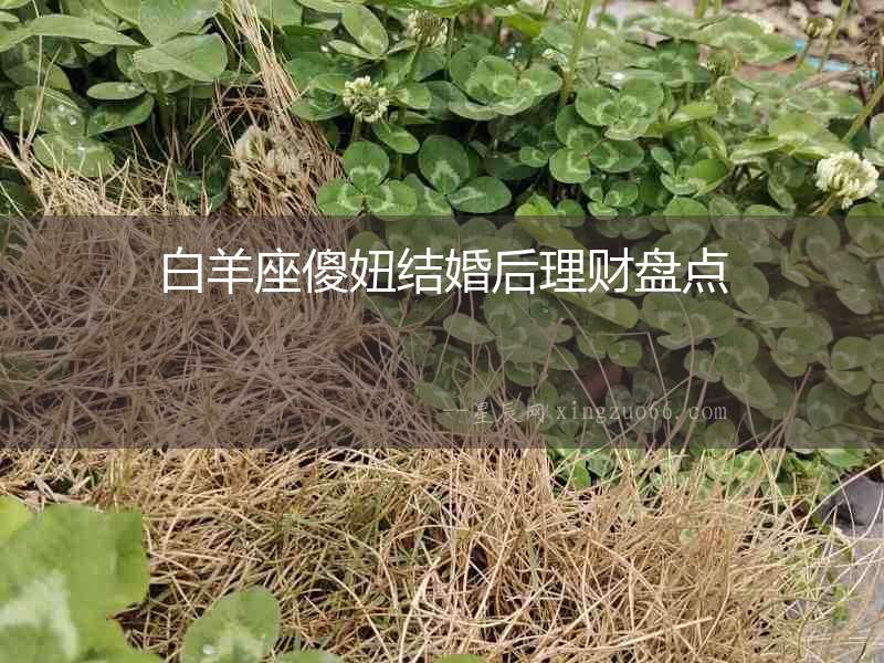 白羊座傻妞結婚后理財盤點
