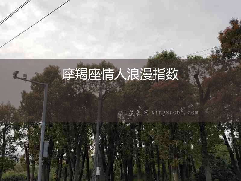 摩羯座情人浪漫指數
