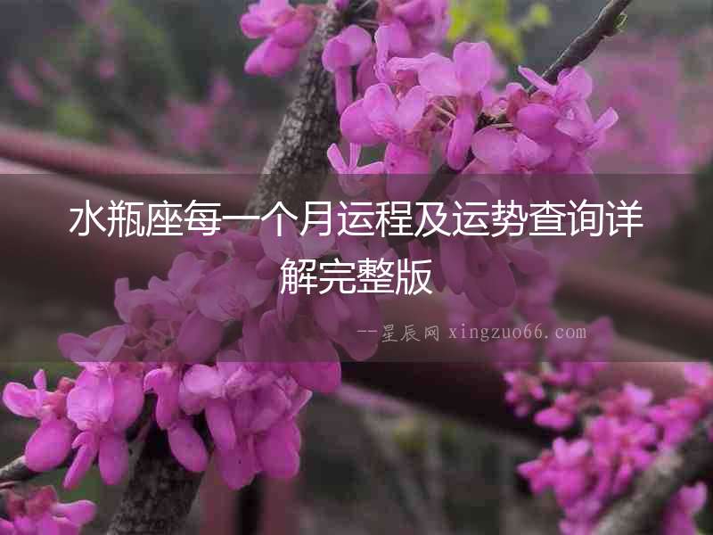 水瓶座每一個月運程及運勢查詢詳解完整版