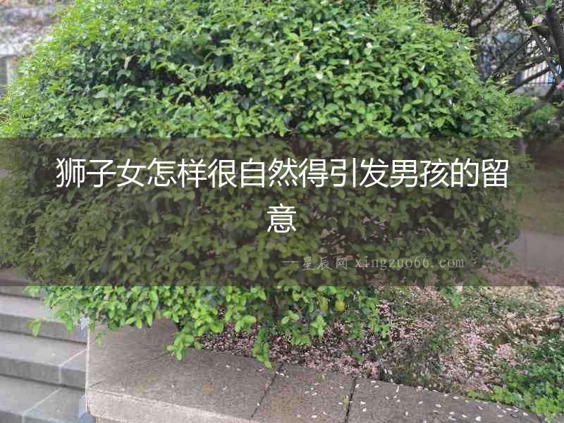 獅子女怎樣很自然得引發男孩的留意