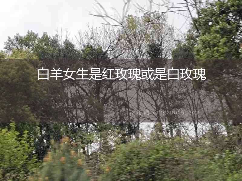白羊女生是紅玫瑰或是白玫瑰